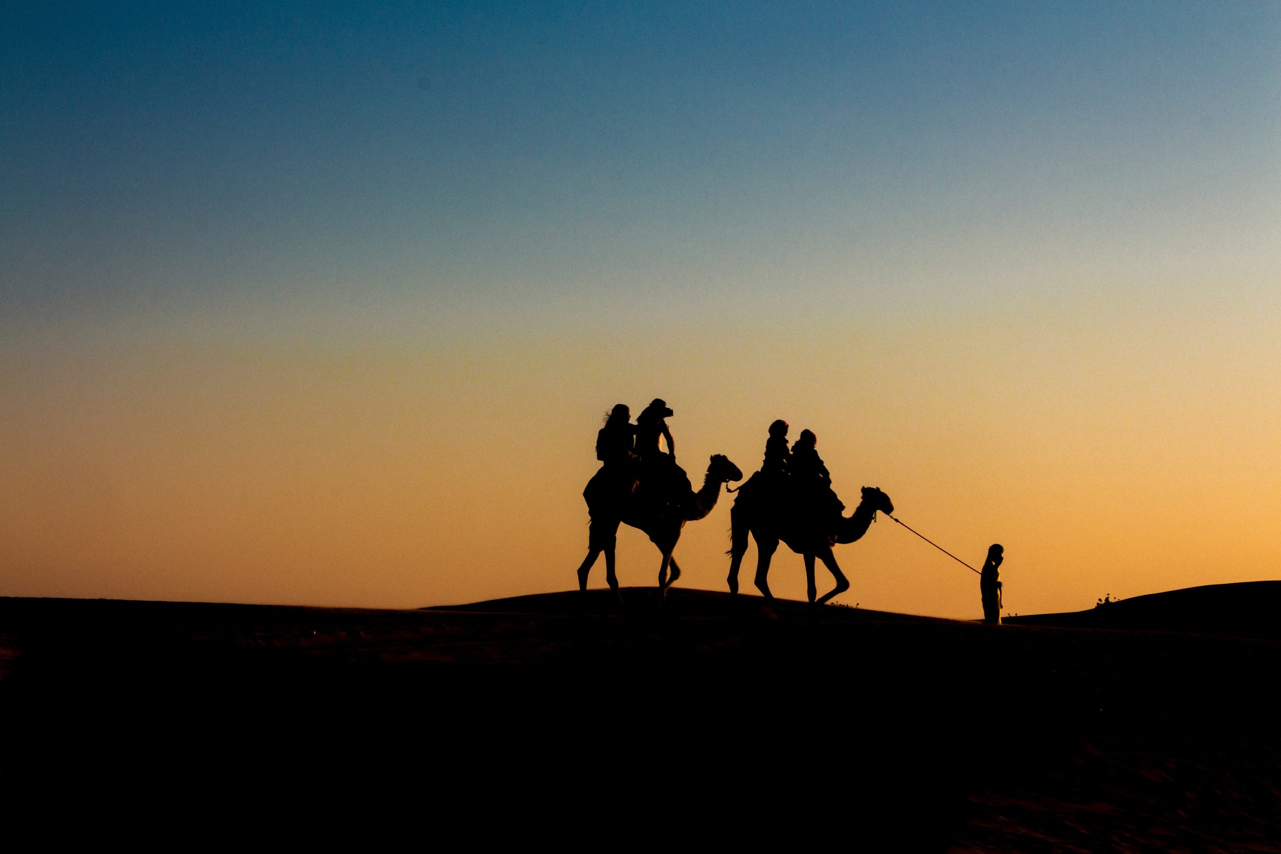 ryan-cheng-EnvfrlmAxfg-unsplash